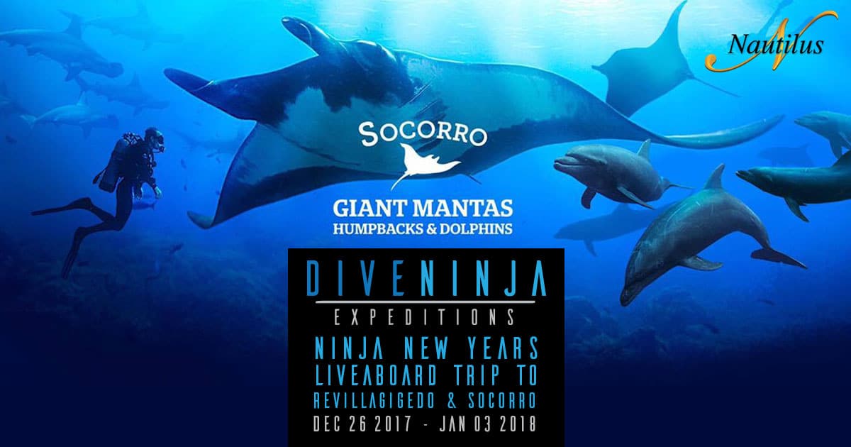 Dive Ninja Expeditions 2017 NYE Ninja Dive Liveaboard Trip to Socorro