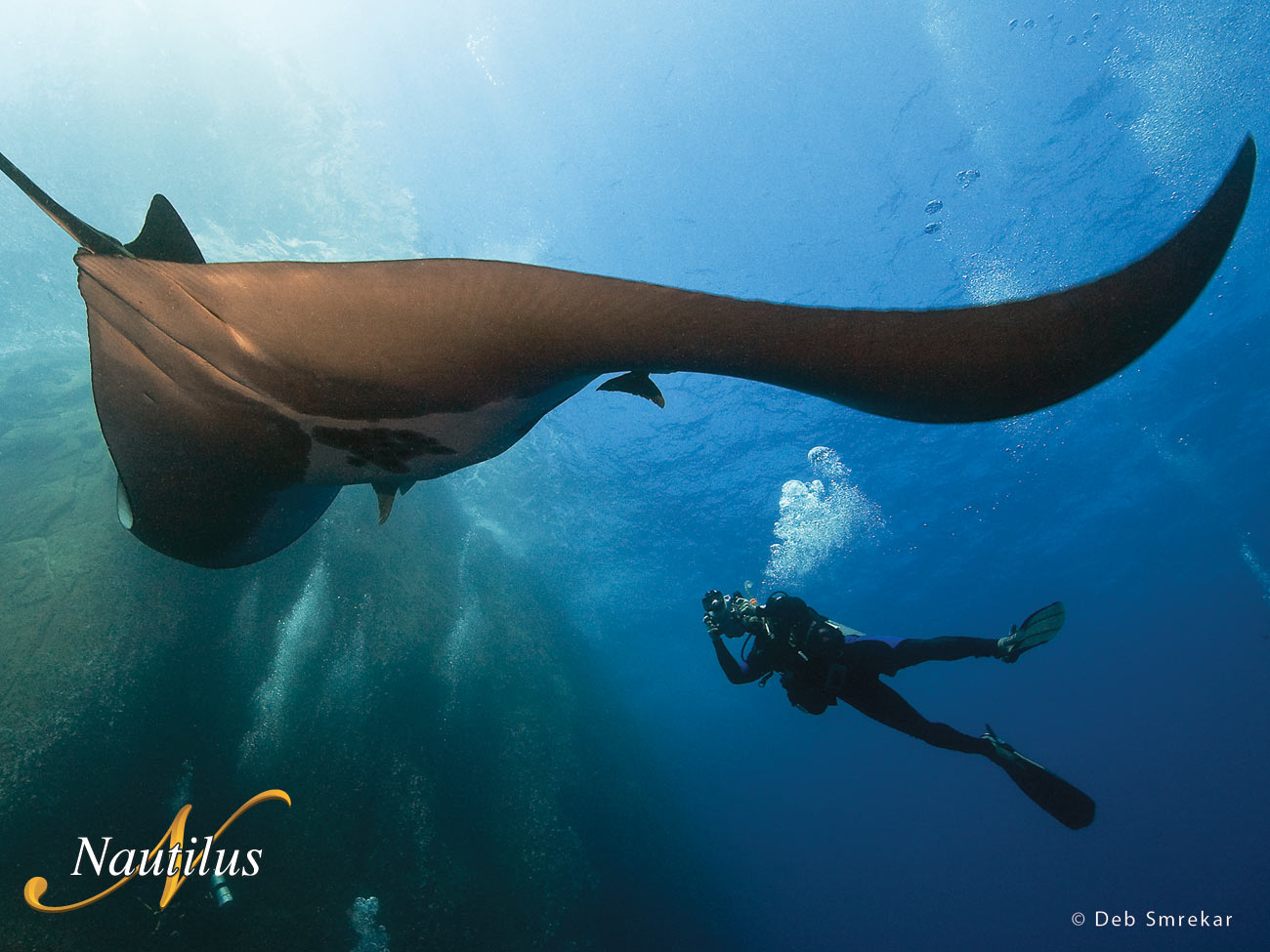 Socorro Dive with giant manta rays