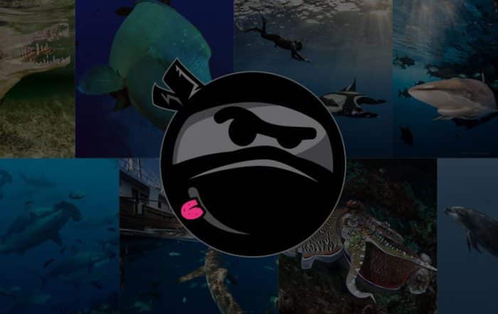 Ninja dive travel and live aboard travel network