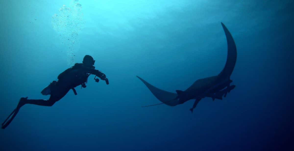 Trip Registration Terms & Conditions Dive Ninja Expeditions