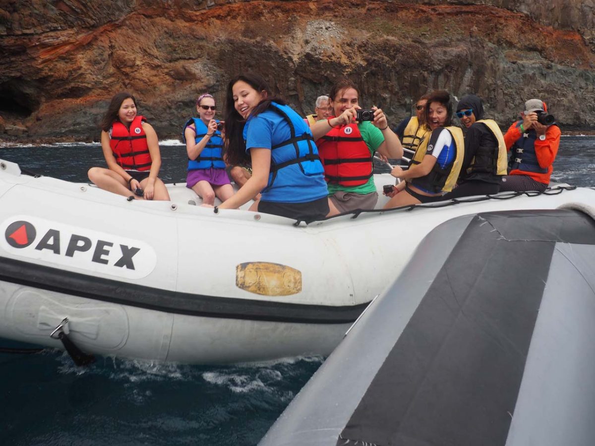 Socorro Ninja New Years Trip Report Dive Ninja Expeditions