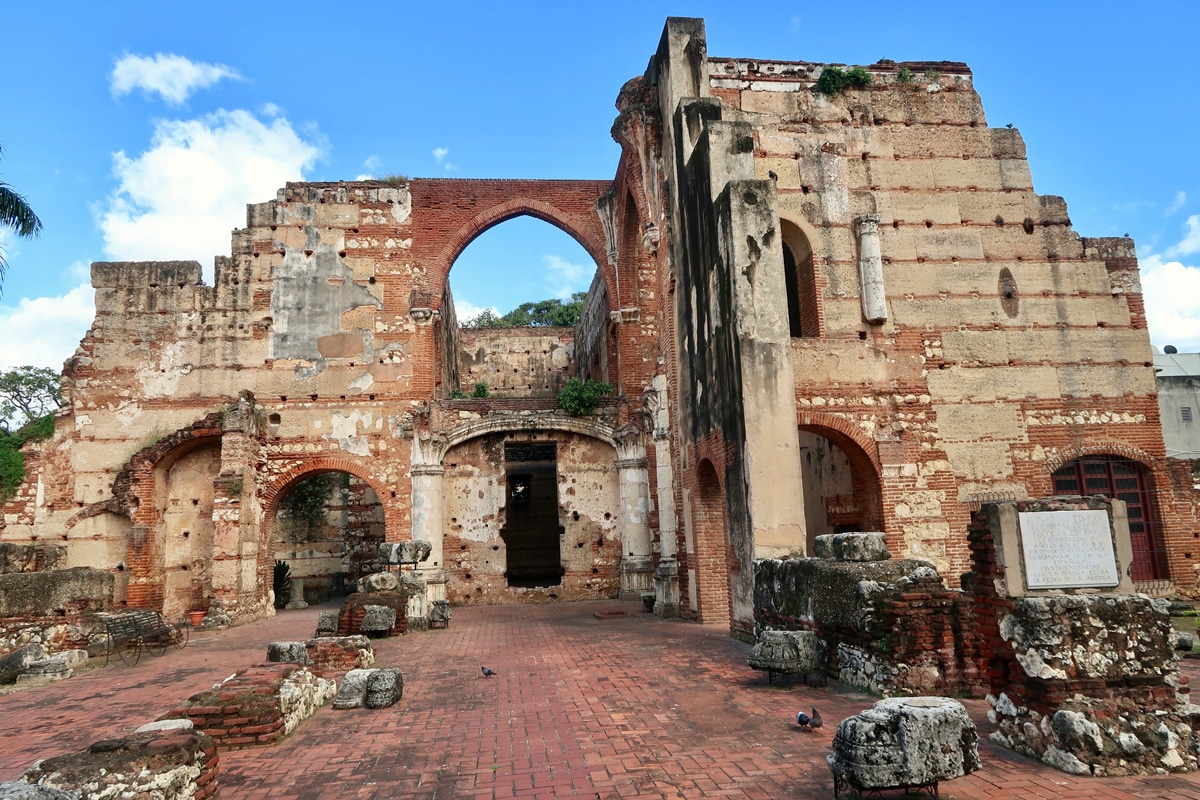 Ocotpus at Pelican Rock Los Cabos Scuba diving