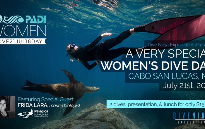 PADI Women's Dive Day 2018 Cabo San Lucas, Mexico