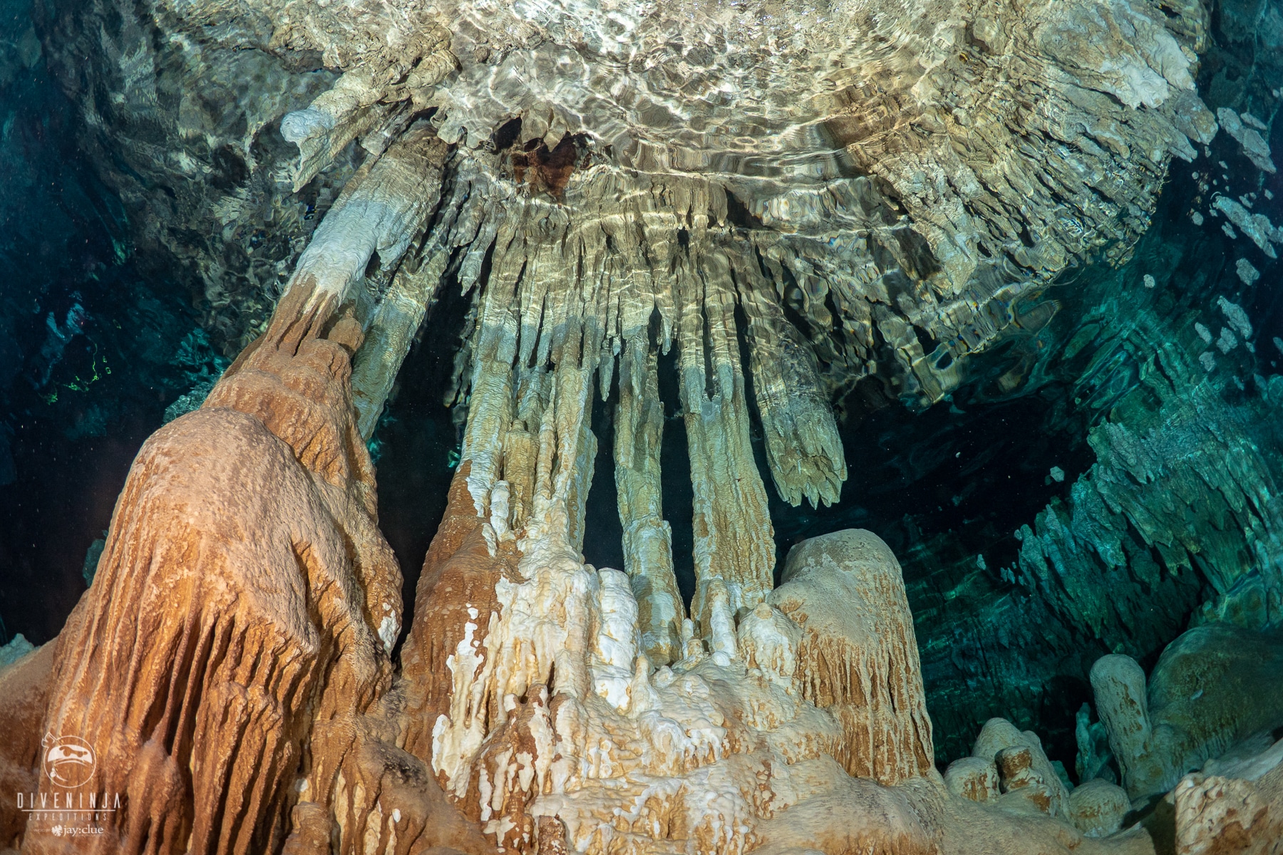 Cenote Diving in Mexico - Dive Ninja Expeditions Mayan Summer Trip