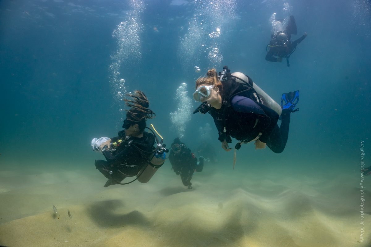 Girls That Scuba Join Dive Ninjas In Cabo San Lucas!