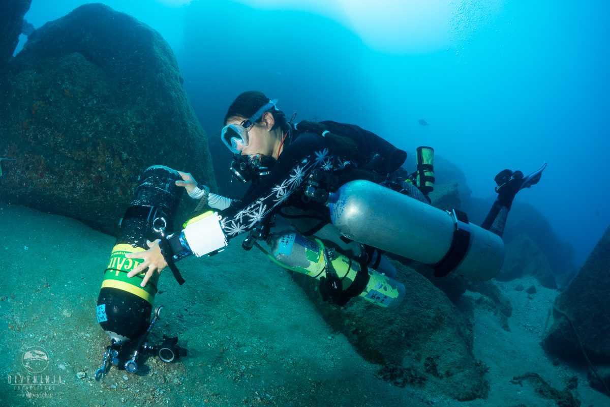 Scuba Diving or Freediving How do you choose?