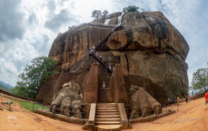 Sri Lanka Safari with Dive Ninja Expeditions & Aggressor Safari Lodge