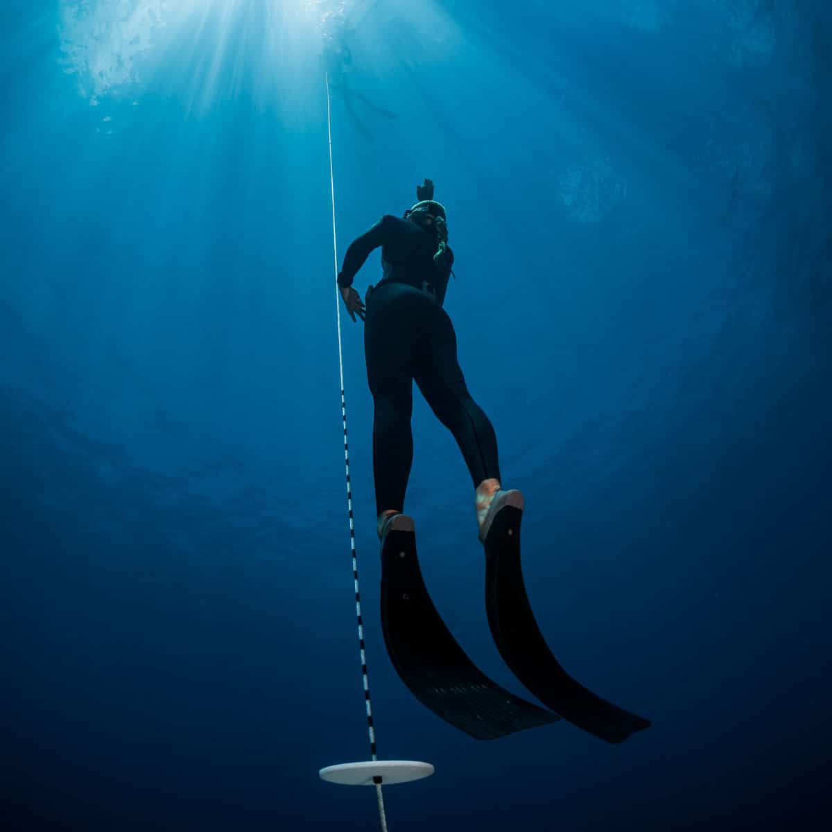 SSI & PADI Freediving course Los Cabos Mexico