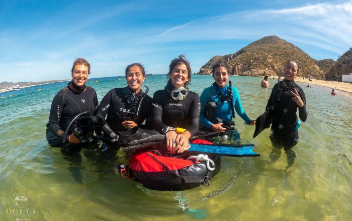 Freedive in Los Cabos Mexico