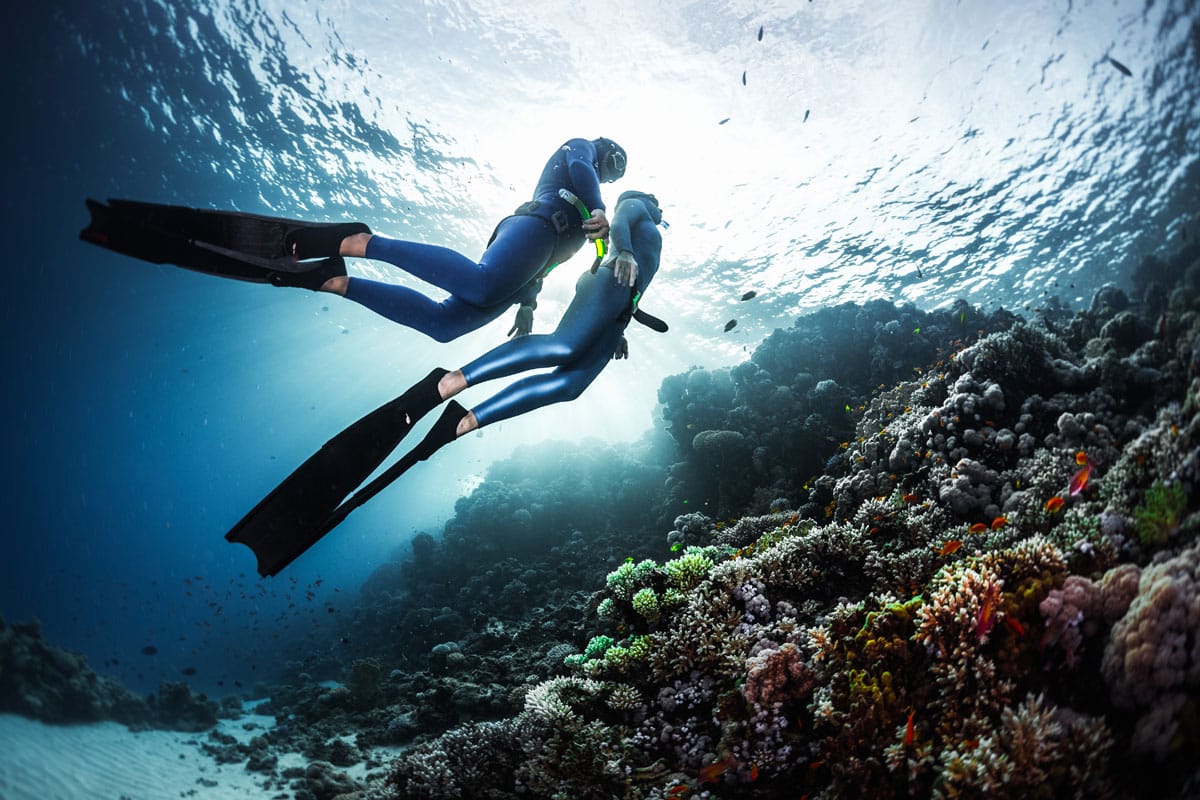 Learn to Freedive in Mexico