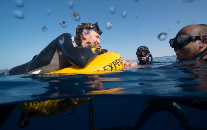 Freediving course in Mexico