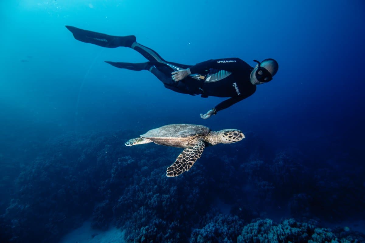 Freediving in Mexico