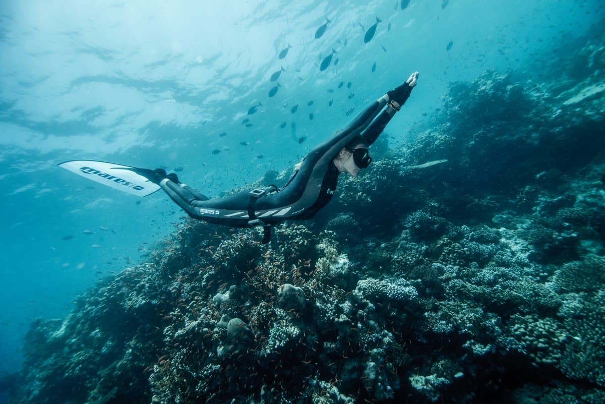 Freediving courses in Mexico