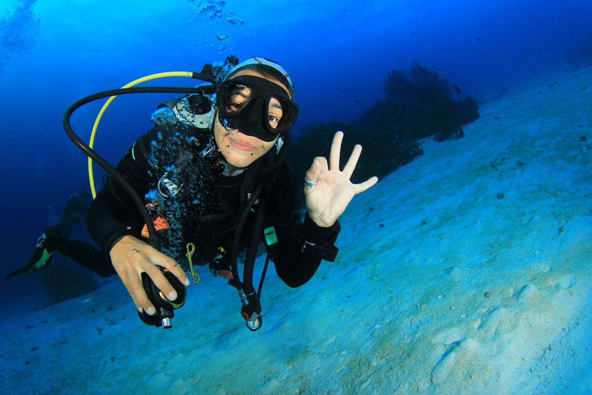 PADI Scuba Diving Courses in Cabo San Lucas Dive Ninja Expeditions
