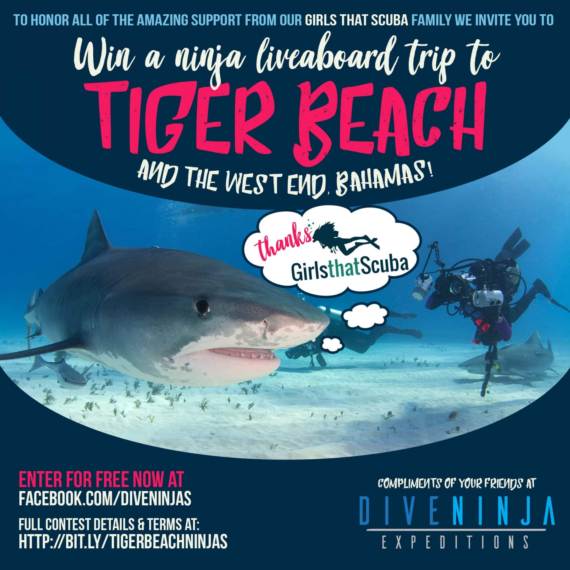 Tiger Beach Bahamas Contest with Girls That Scuba