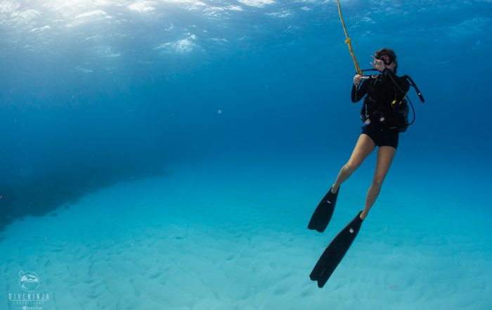 PADI Divemaster Course Mexico