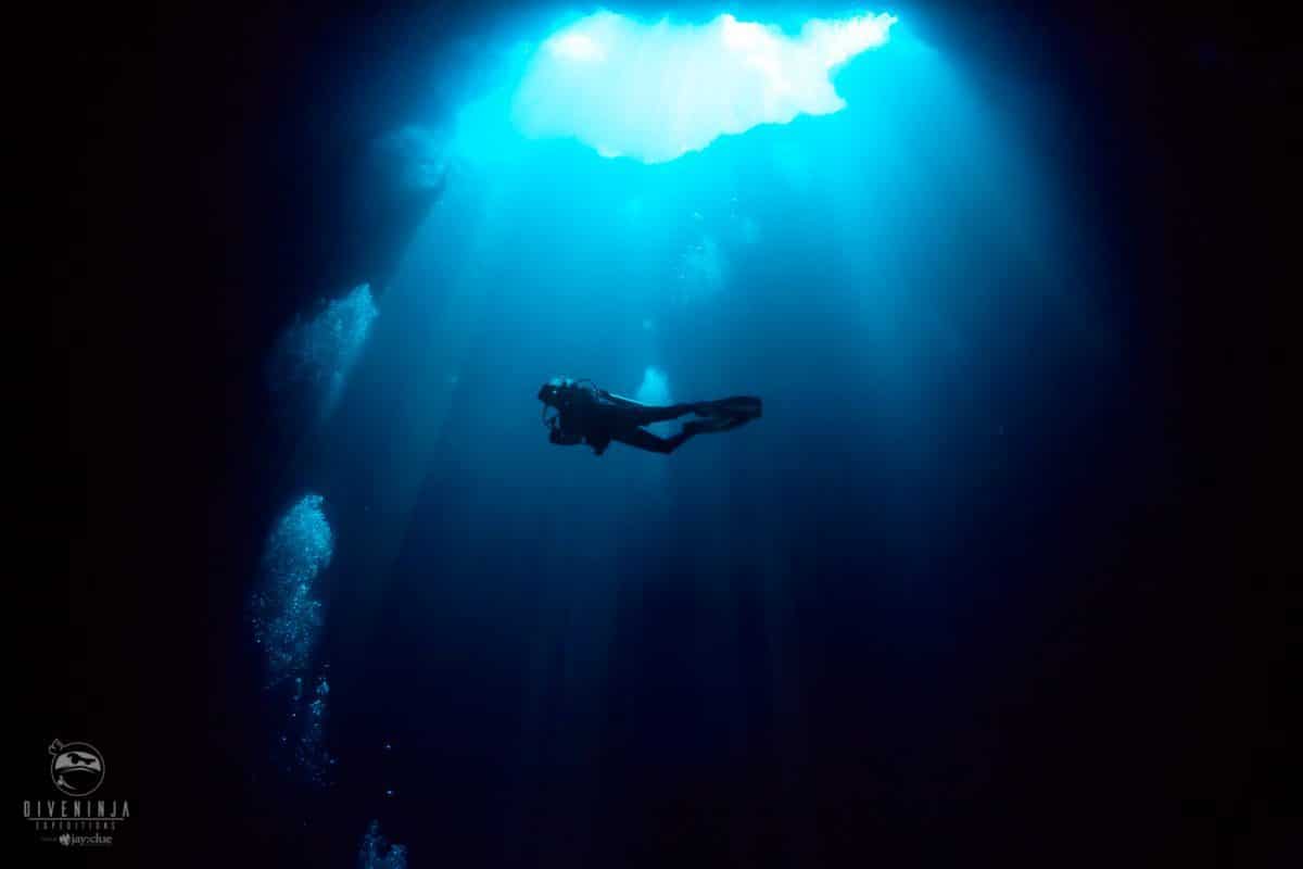 bucear en el agujero azul de Palau a bordo del Palau Siren Liveaboard con Dive Ninja Expeditions