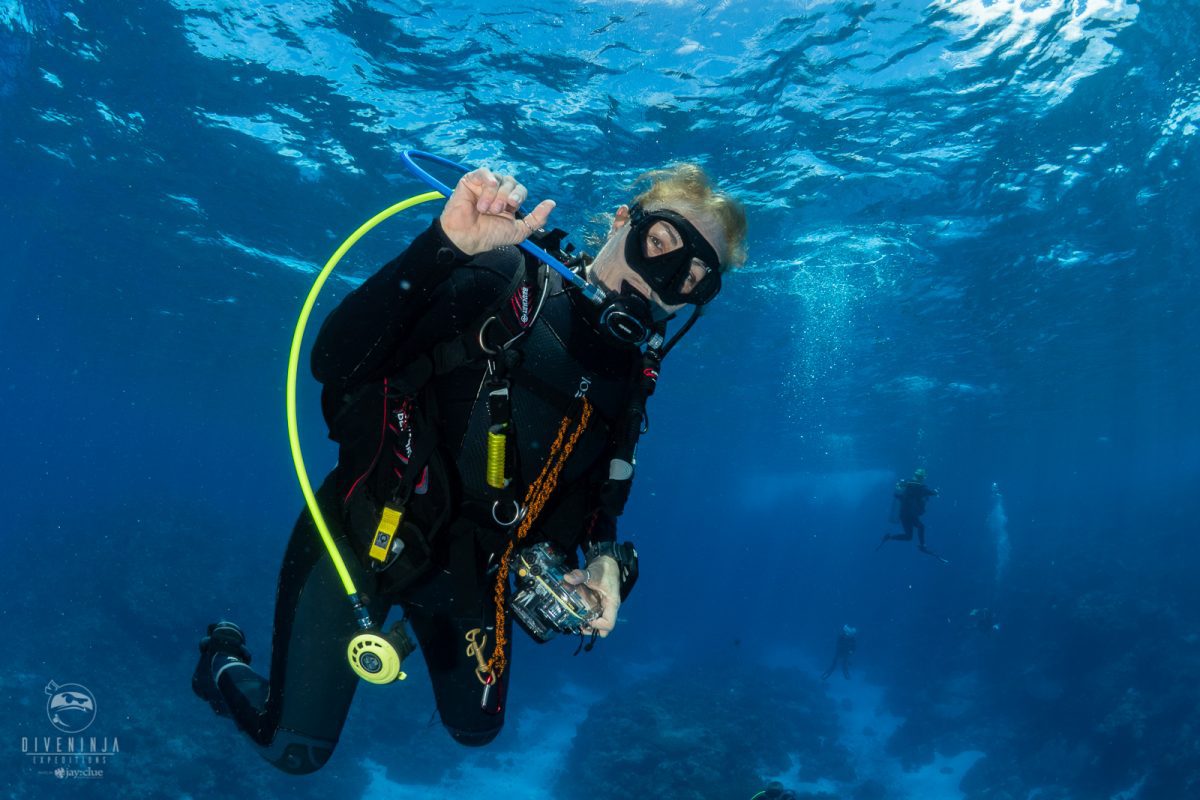 Exploring Palau Dive Ninja Trip Report June 2019