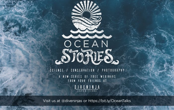 Ocean Stories Freewebinars