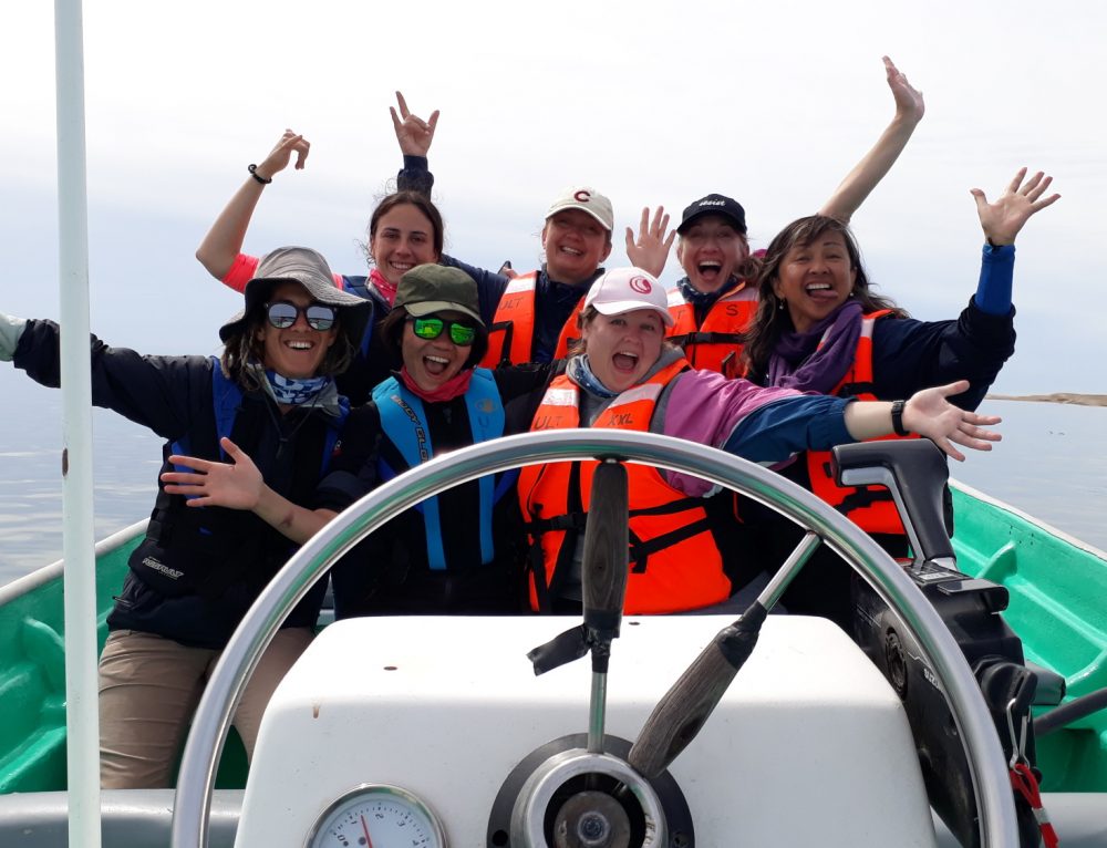 Week of the Whale Dive Ninja Expeditions