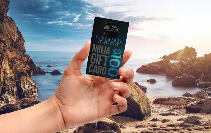 Scuba Diving Freediving Gift Cards
