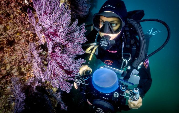 Project AWARE Coral Reef Conservation course in Cabo San Lucas Mexico