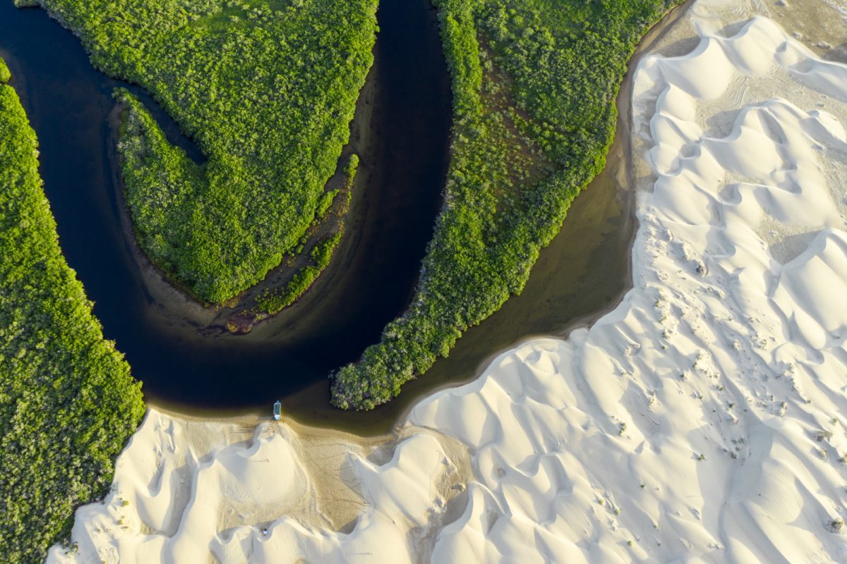 The Magic of Magdalena Bay an amazing place in Baja California Sur