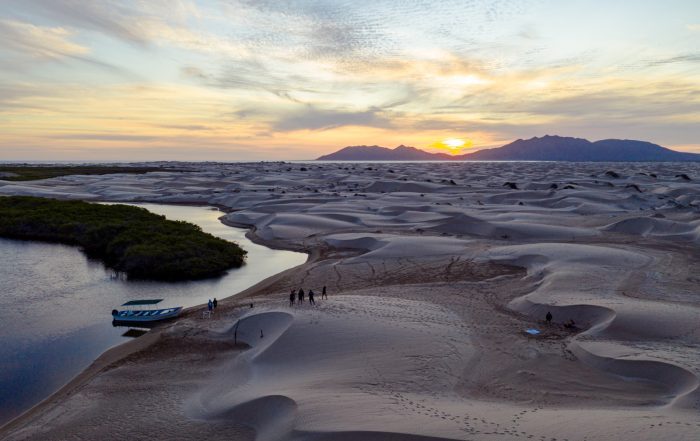 Dunes, sunset and mangroves, Magdalena Bay, Baja, Mexico