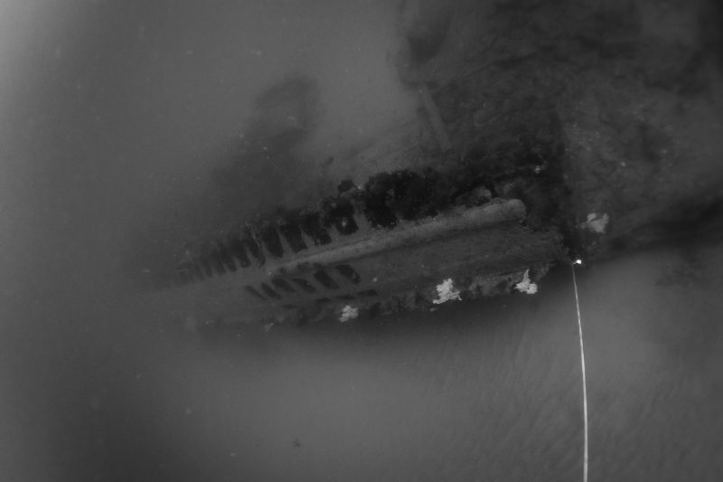 The Magic of Magdalena Bay an amazing place in Baja California Sur