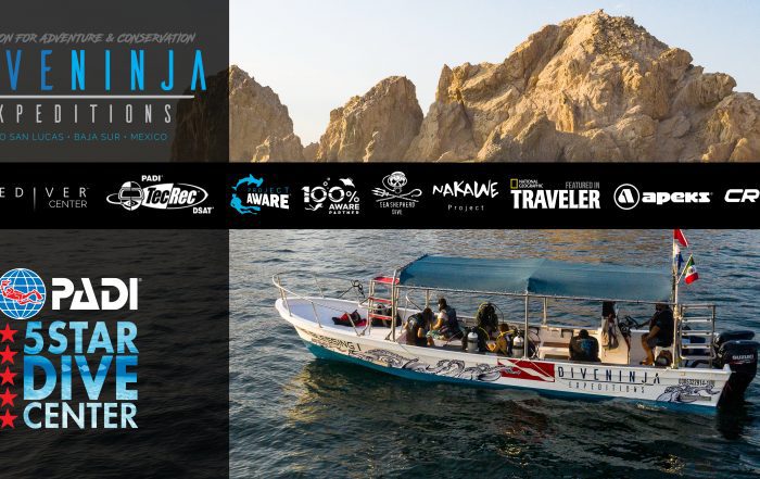 PADI 5 Star Dive Center in Cabo San Lucas Mexico