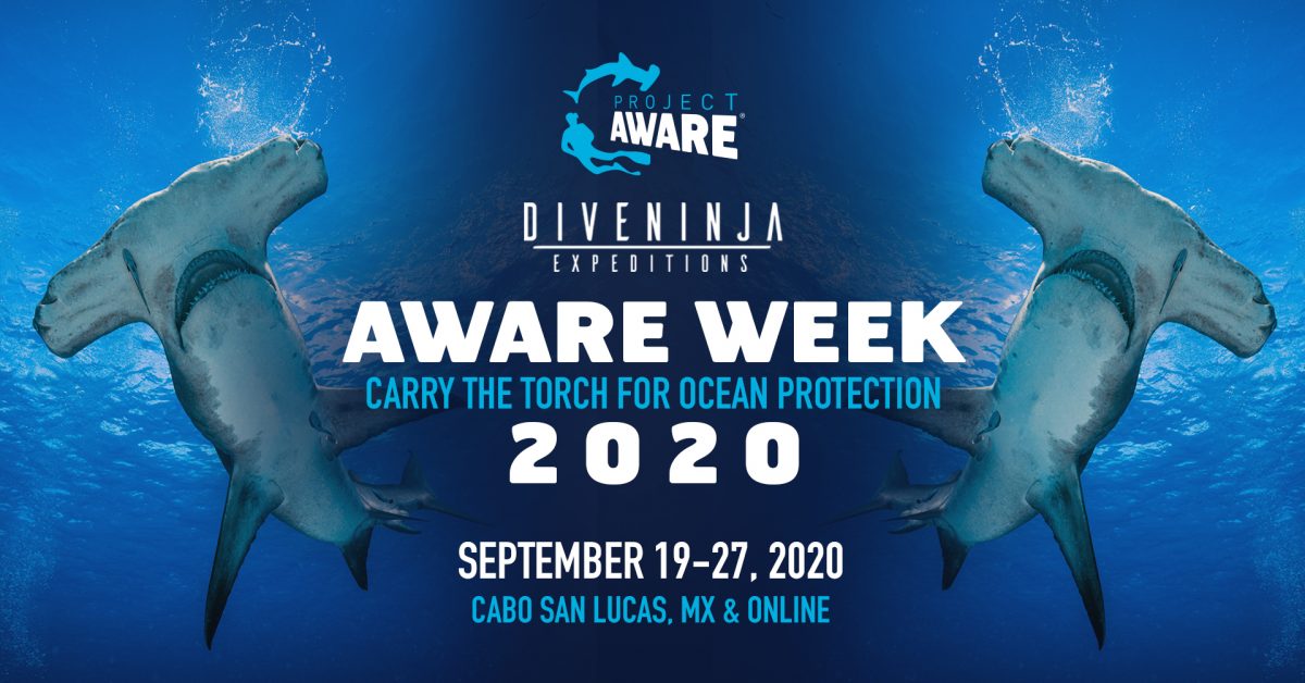 AWARE Week 2020 with PADI, Project AWARE, & Dive Ninja Expeditions