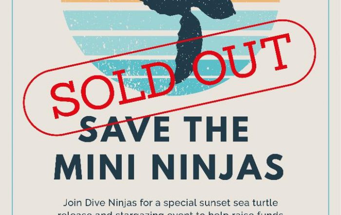 Sea Turtle Fundraiser Los Cabos