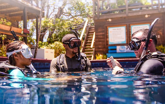 Ninja PADI Instructor Development Course & PADI IDC Center in Cabo San Lucas, Mexico