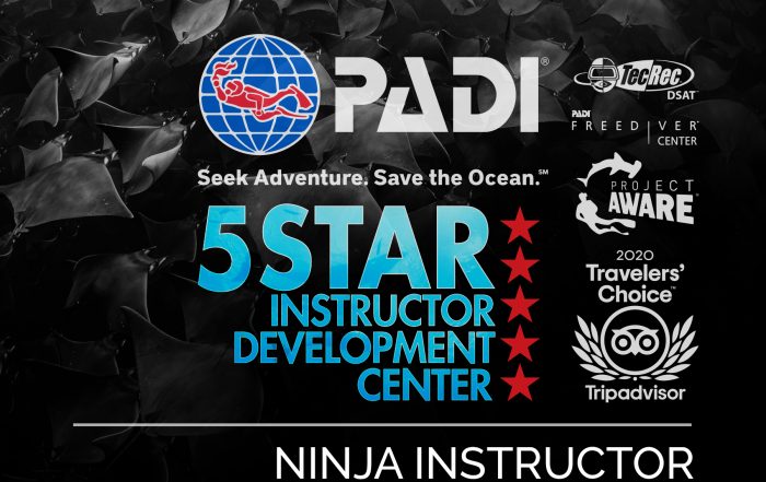 Ninja PADI Instructor Development Course IDC in Los Cabos, Mexico