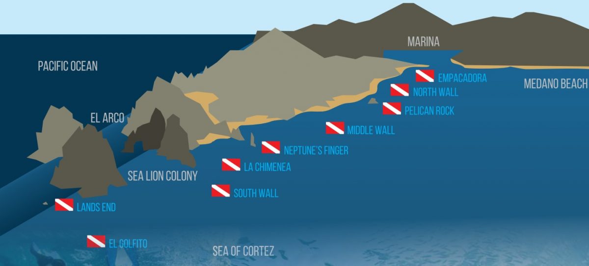 Scuba Diving in Cabo San Lucas Dive Ninjas