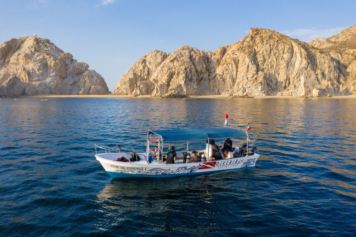 Scuba Diving in Cabo San Lucas Dive Ninjas