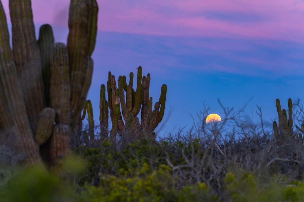 Above & Below Photography Workshops