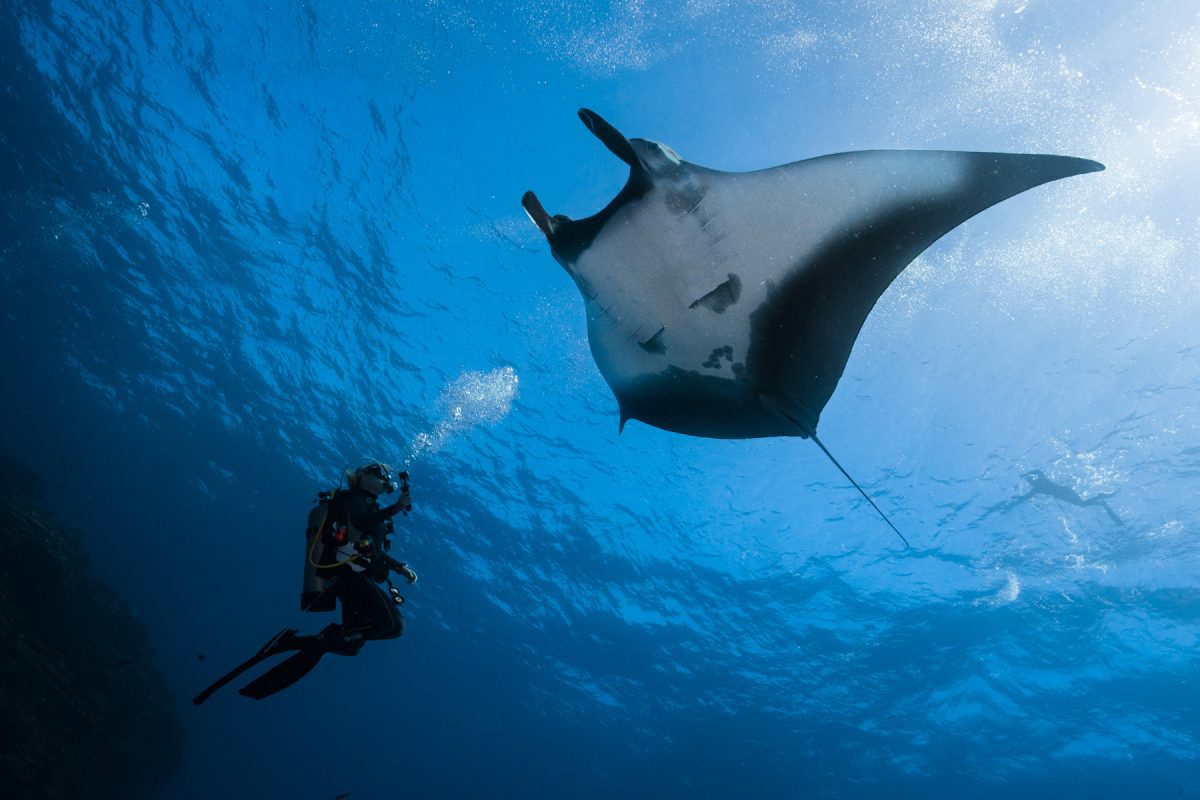 Ninja Exclusive Trips Dive Ninja Expeditions