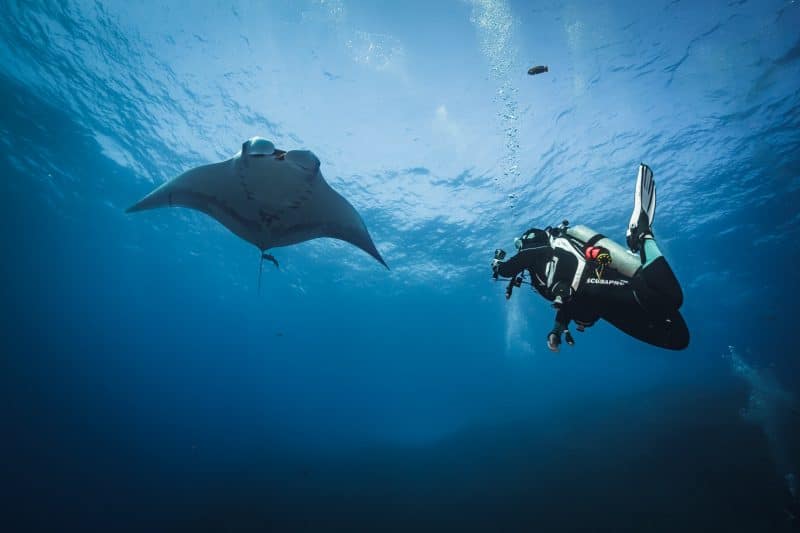 Ninja Exclusive Trips Dive Ninja Expeditions