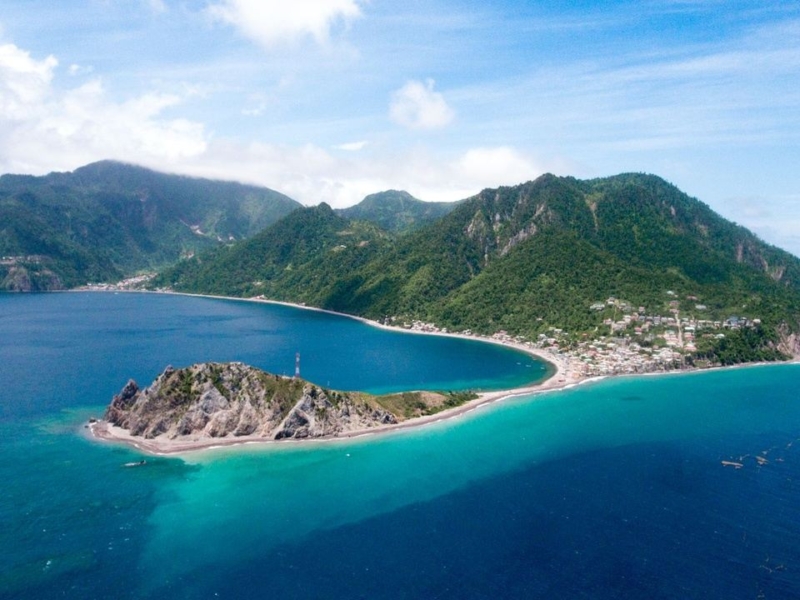 Swim With Sperm Whales In Dominica Trip 2025