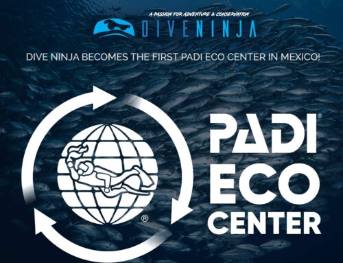 Dive Ninja becomes first PADI Eco Center in Mexico!