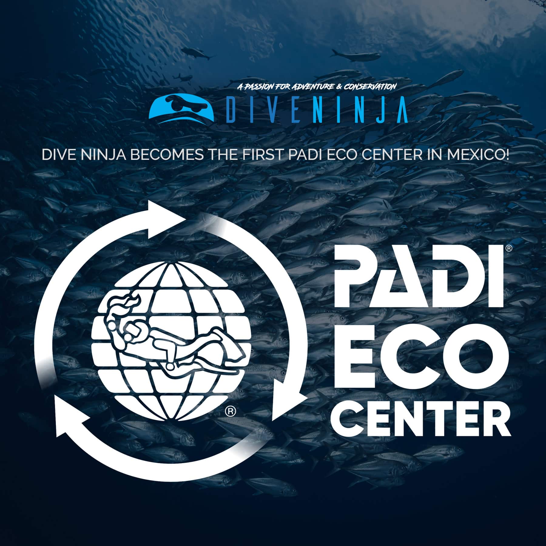Dive Ninja becomes first PADI Eco Center in Mexico!