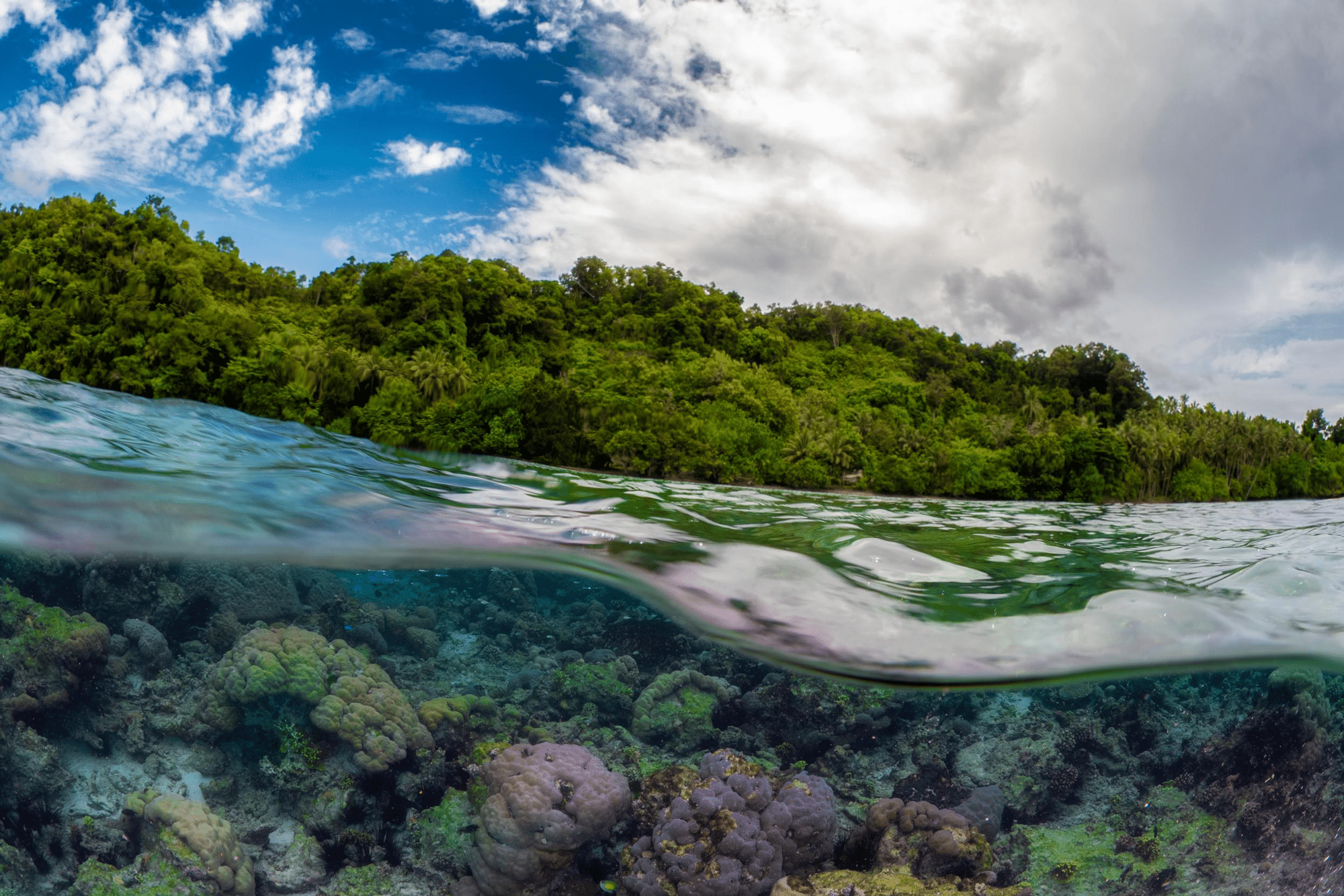 Solomons Islands Diving Trip - Split Shot