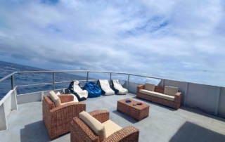 Ferox Liveaboard upper deck