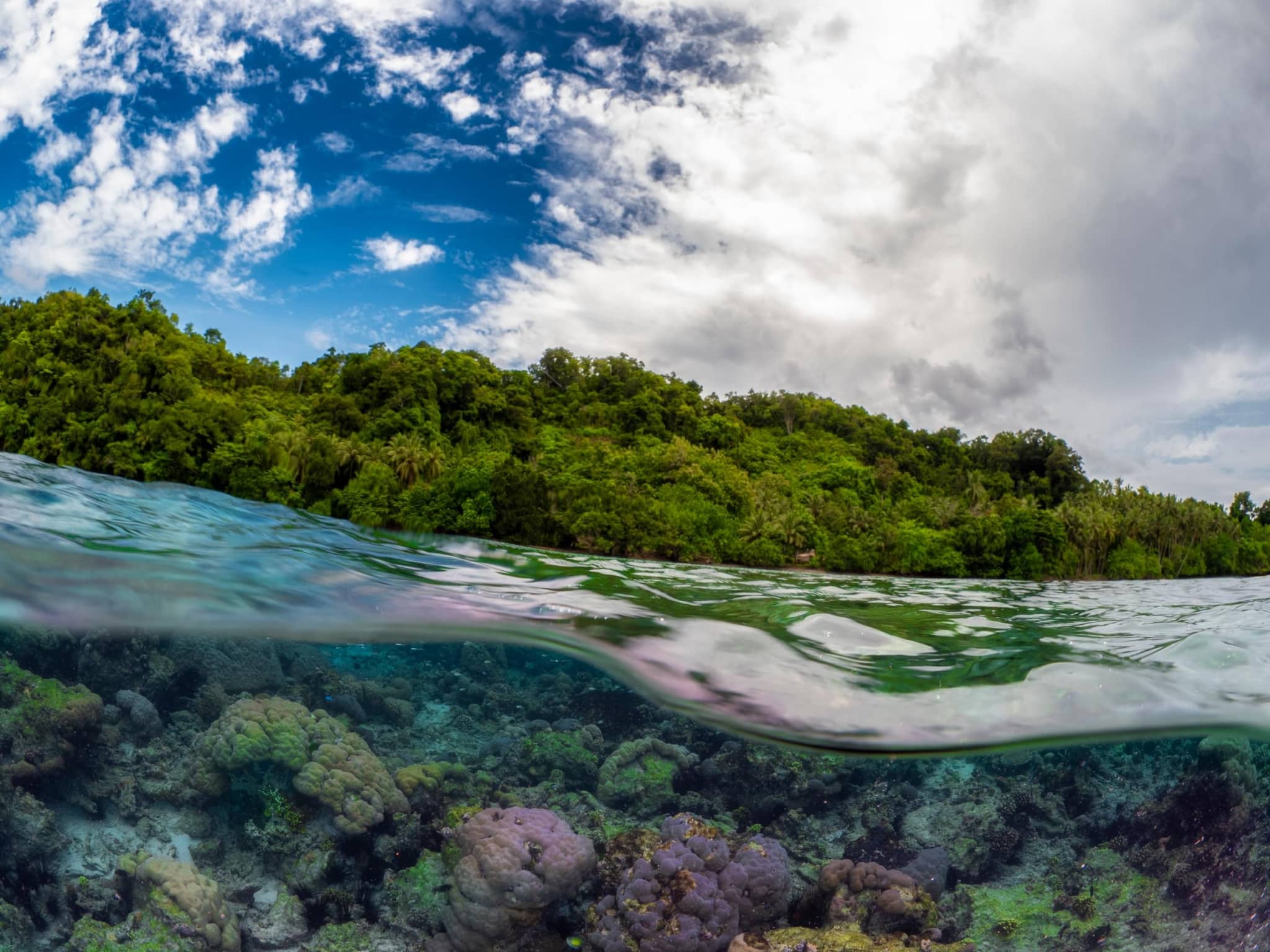 Solomons Islands liveaboard trip